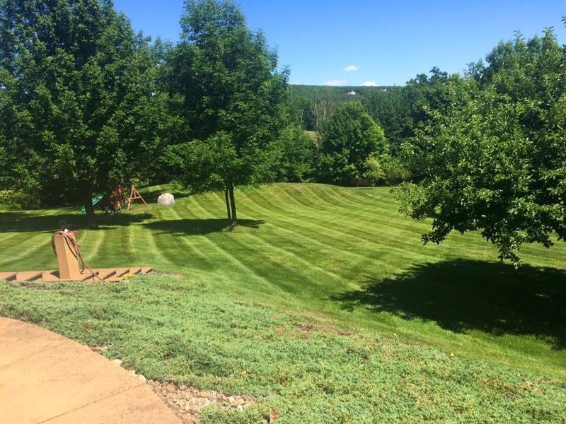 Lawn Maintenance
