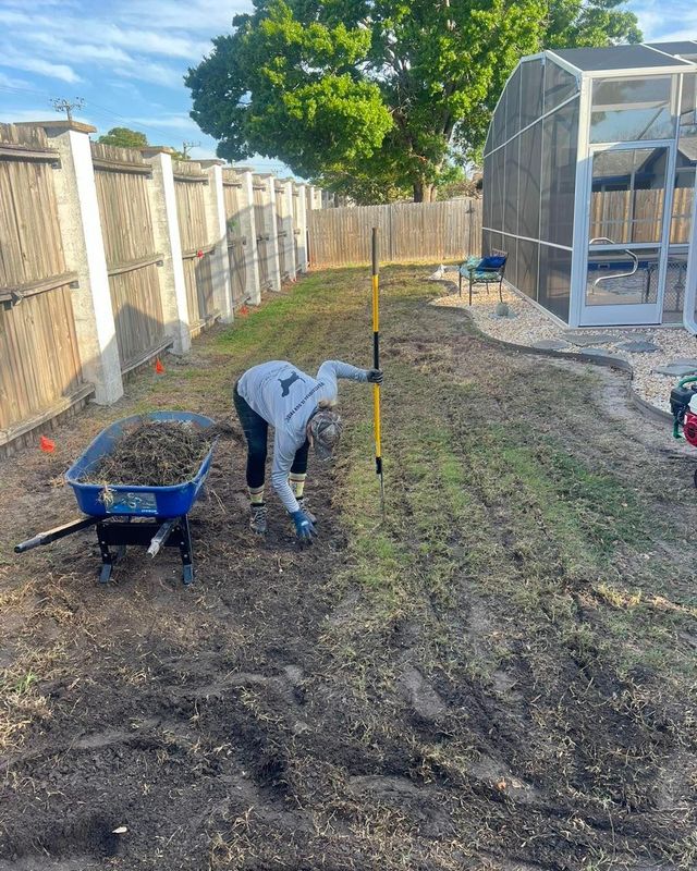 Landscape Removal