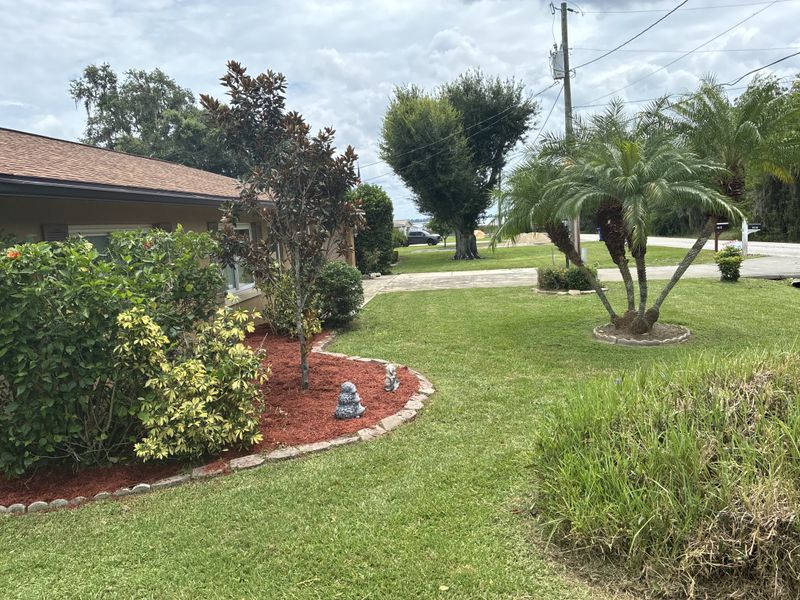 Lawn Care & Maintenance