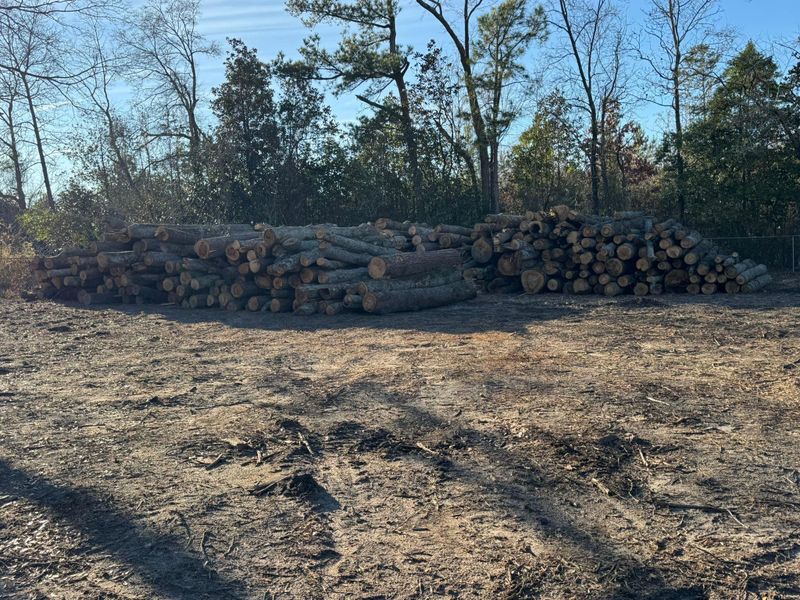 Forestry Mulching