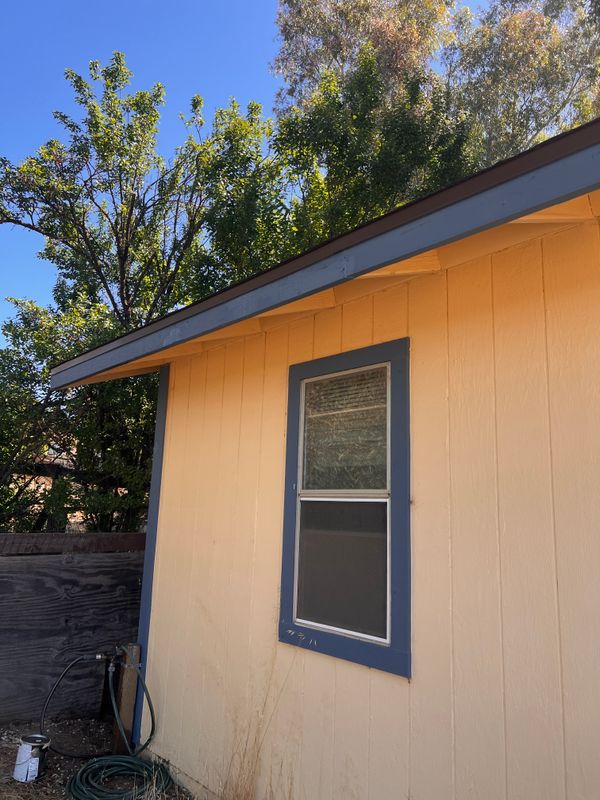 Painting And Drywall