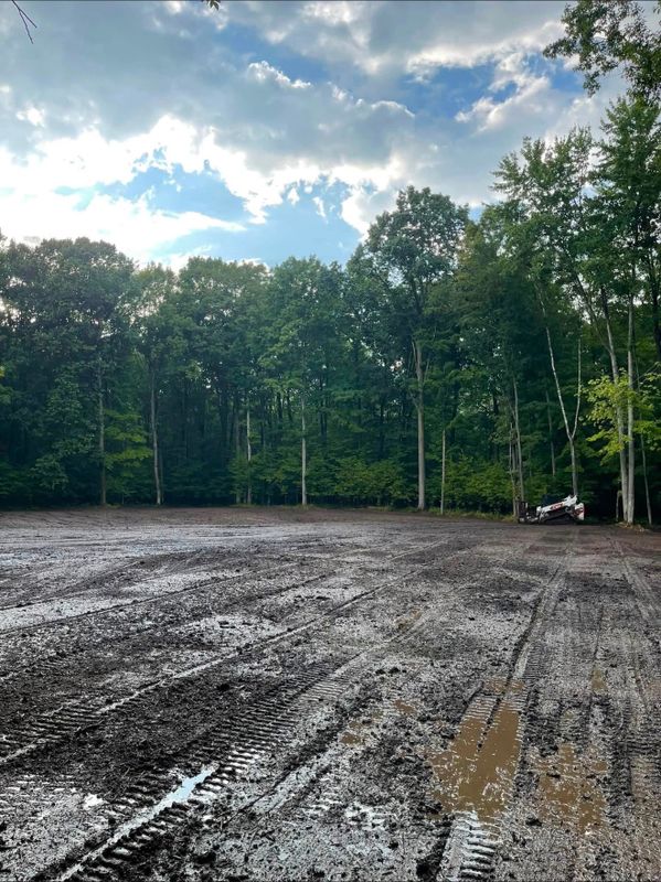 Land Clearing & Forestry Mulching