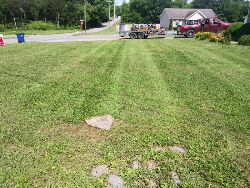 Lawn Care
