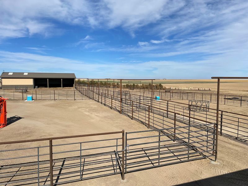 Commercial Chain Link Fencing