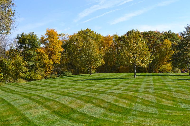 Mowing