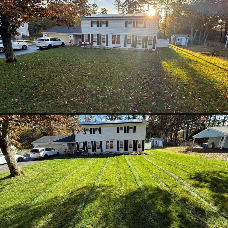 Lawn Mowing / Lawn Care Maintenance