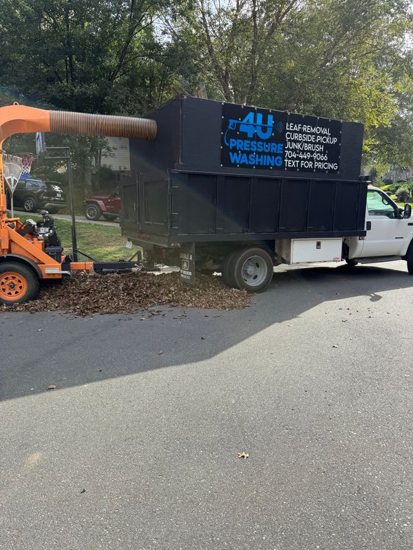 Leaf Removal