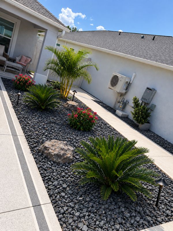 Palm Tree Pruning