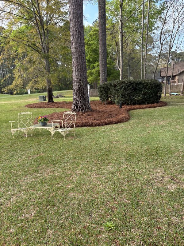 Landscape Design