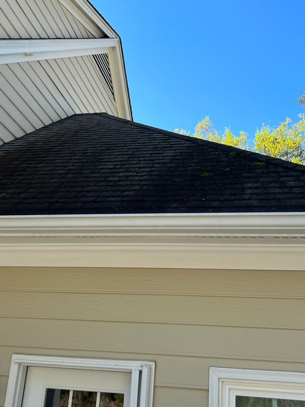 Roof washing 