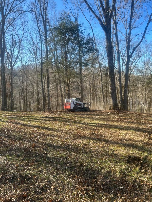 Land Clearing