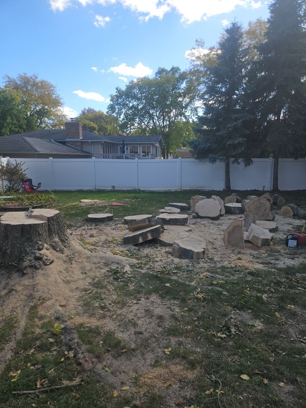 Stump Removal