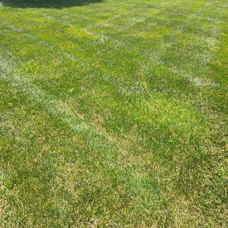 Mowing