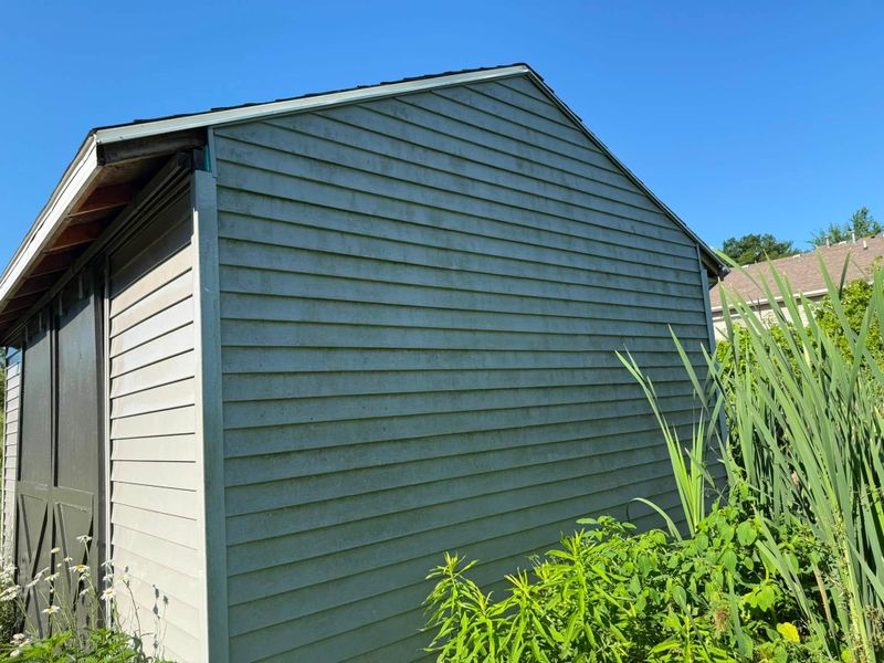 Deck and Patio Restoration