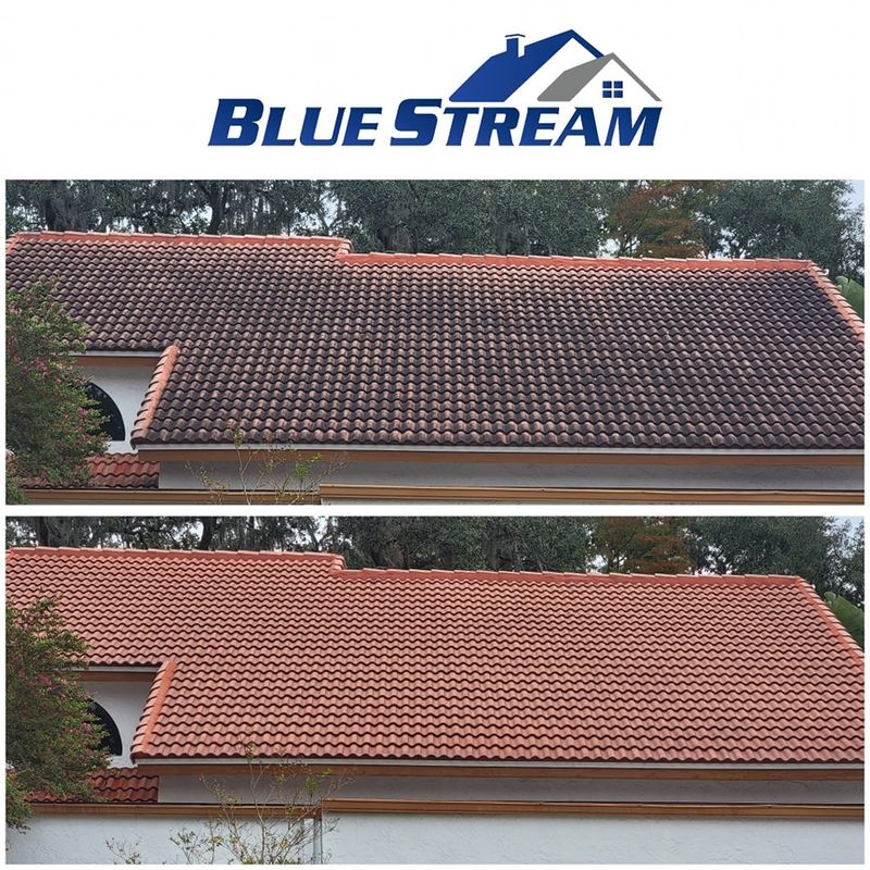 Tile Roof Cleaning