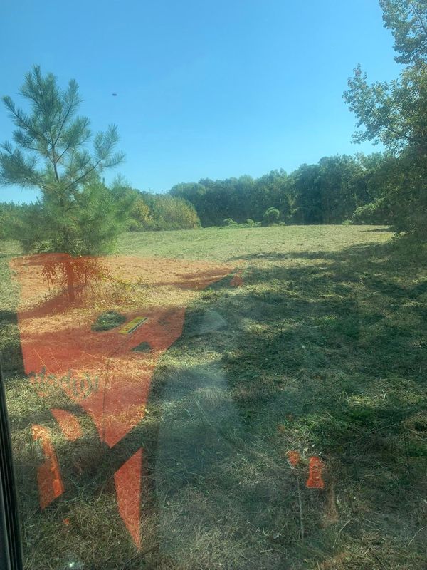 Vegetation Control