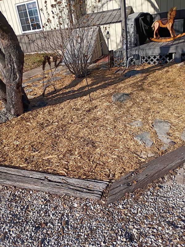 Landscape Design