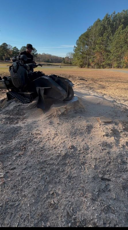 Stump Grinding