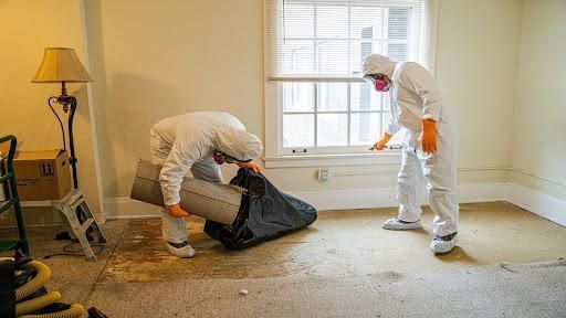 Mold Remediation