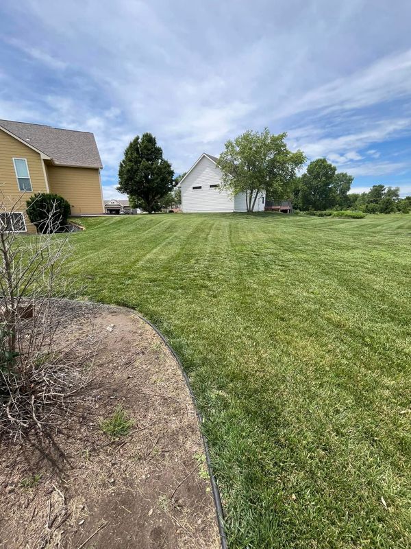Lawn Maintenance