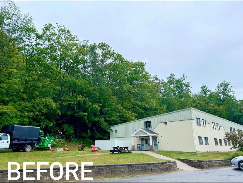 Tree Services