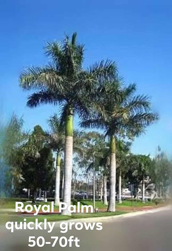 Plant and tree list