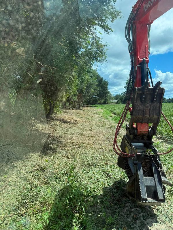 Land Clearing