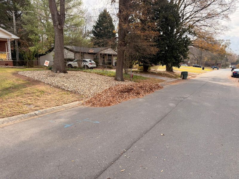 Other Lawn Maintenance