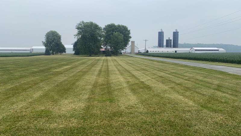 Mowing
