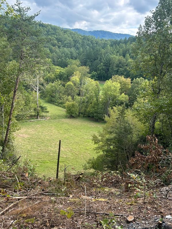 Land Clearing