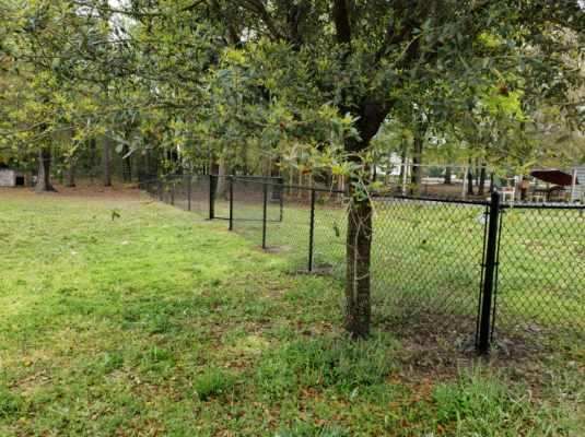 Fences