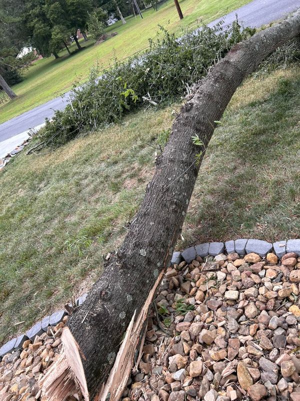 Landscaping gallery