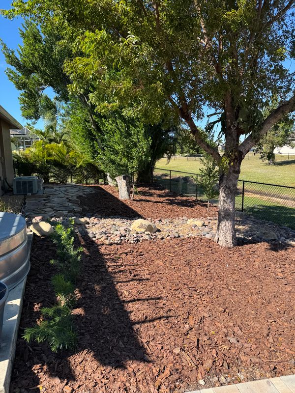 Decorative Stone & Rock Design