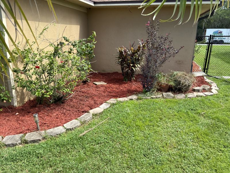 Lawn Care & Maintenance