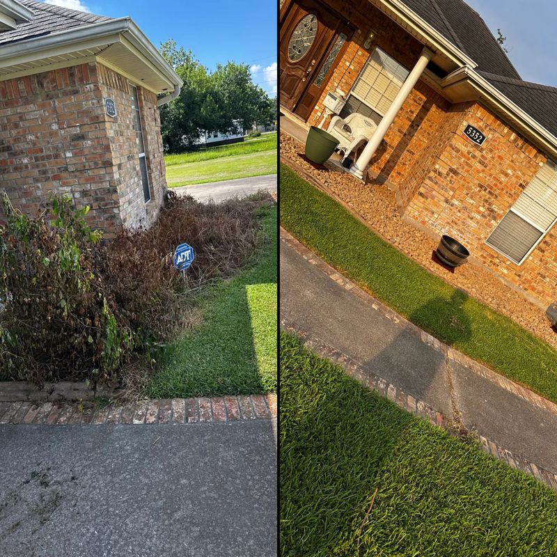 Landscaping 
