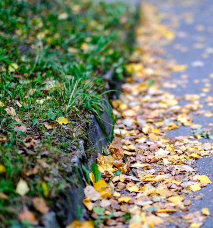 Fall and Spring Clean Up