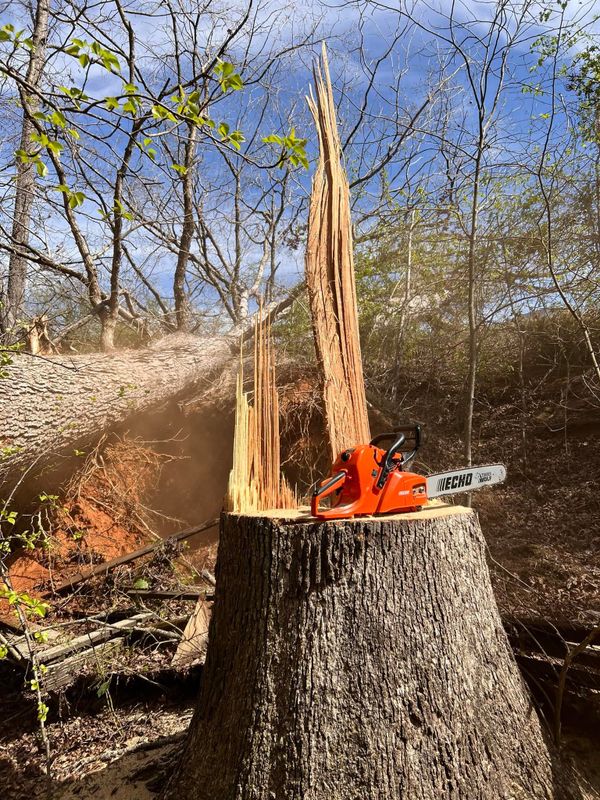 Stump Removal