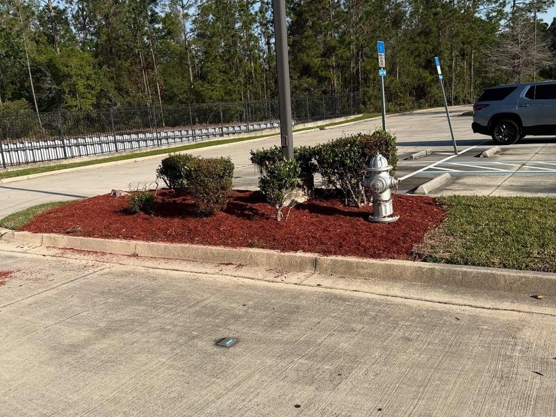 Shrub Trimming