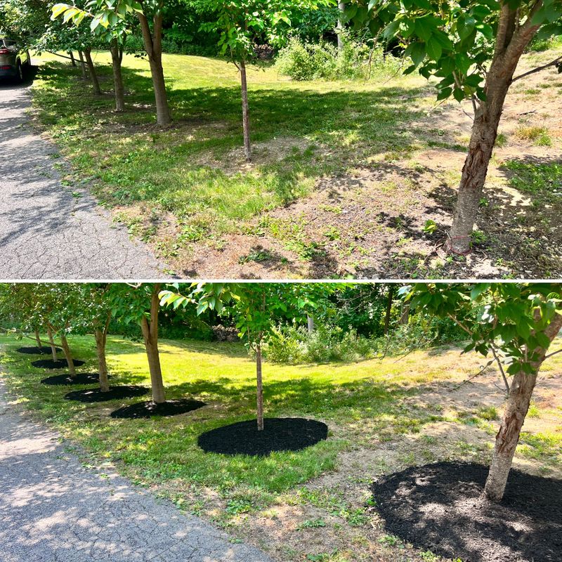 Landscaping
