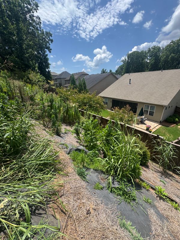 Transformative Erosion Control