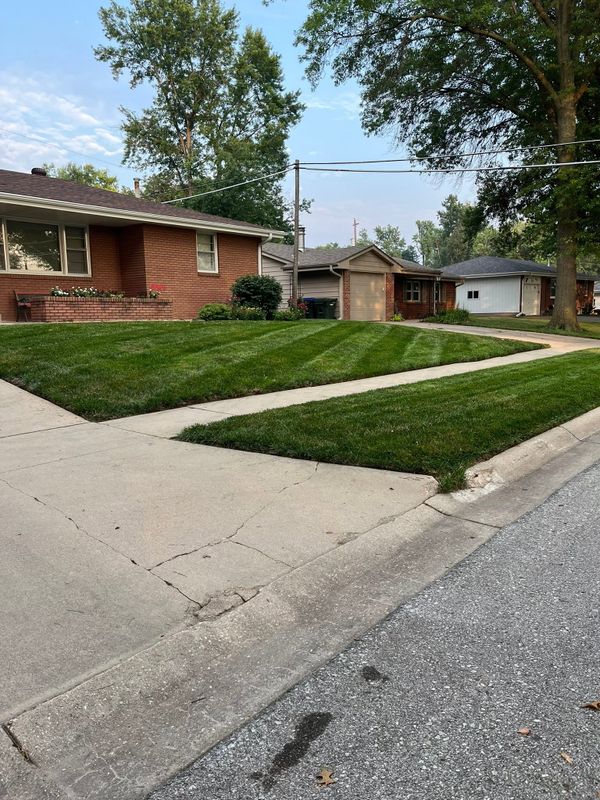Lawn Maintenance