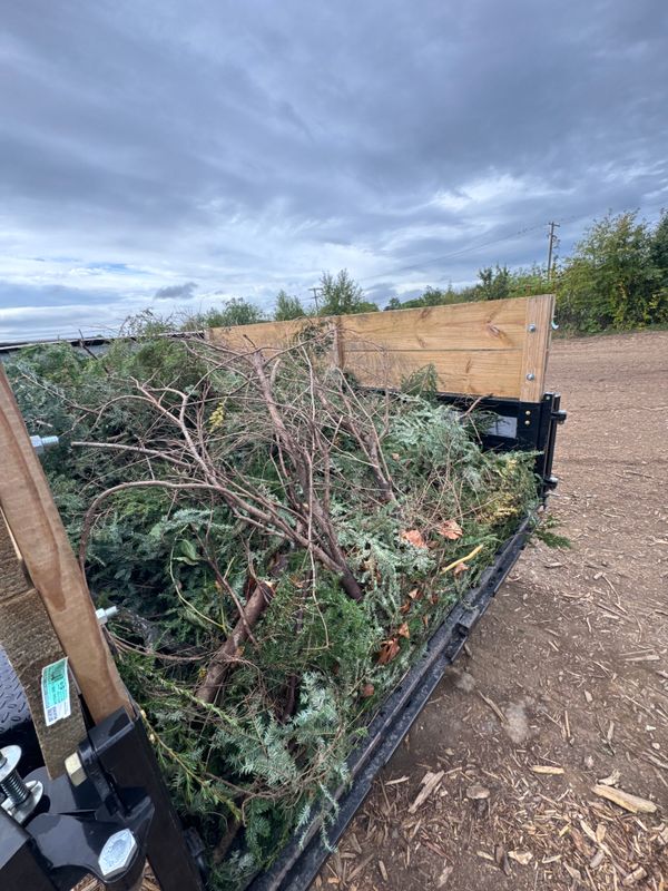 Seasonal Clean Up