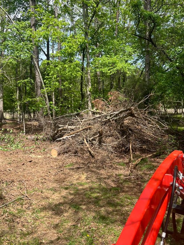 Tree Removal gallery