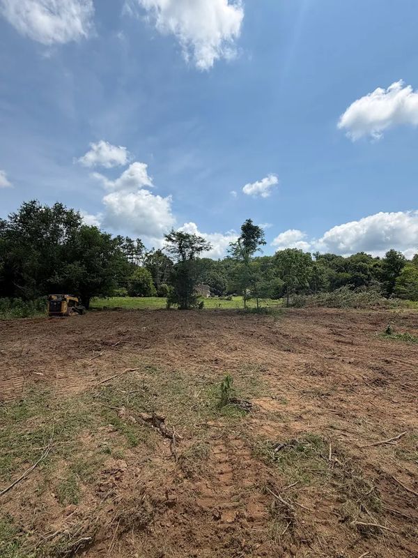 Lot Clearing