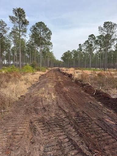 Land Clearing