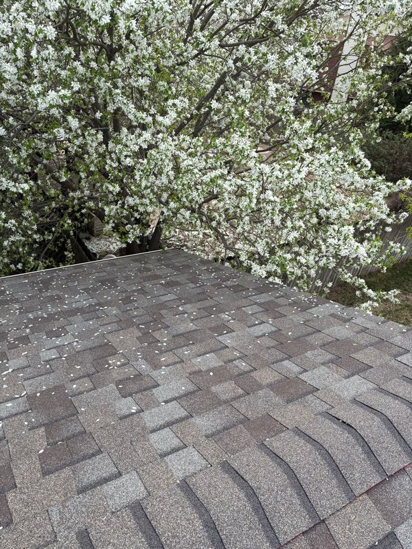 Roof Completions