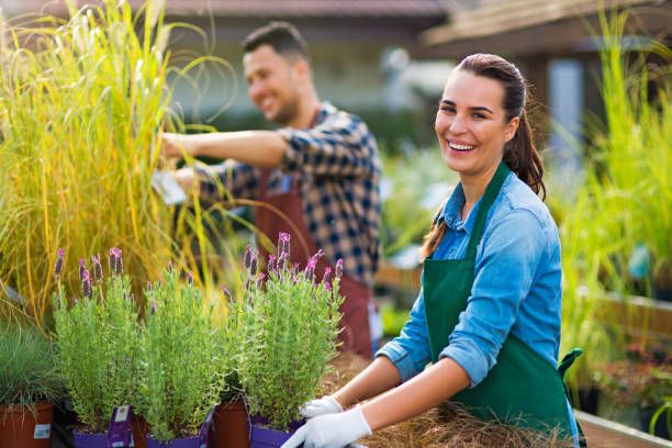 Landscape Management Service