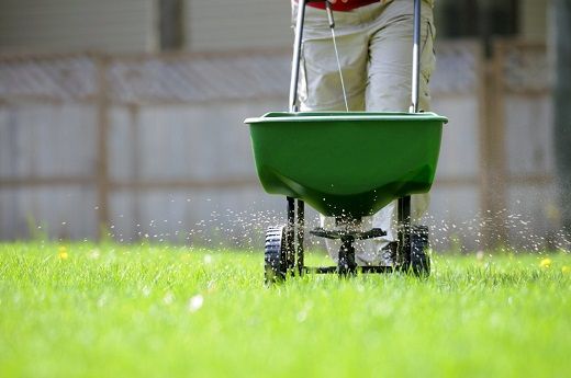 Lawn Care