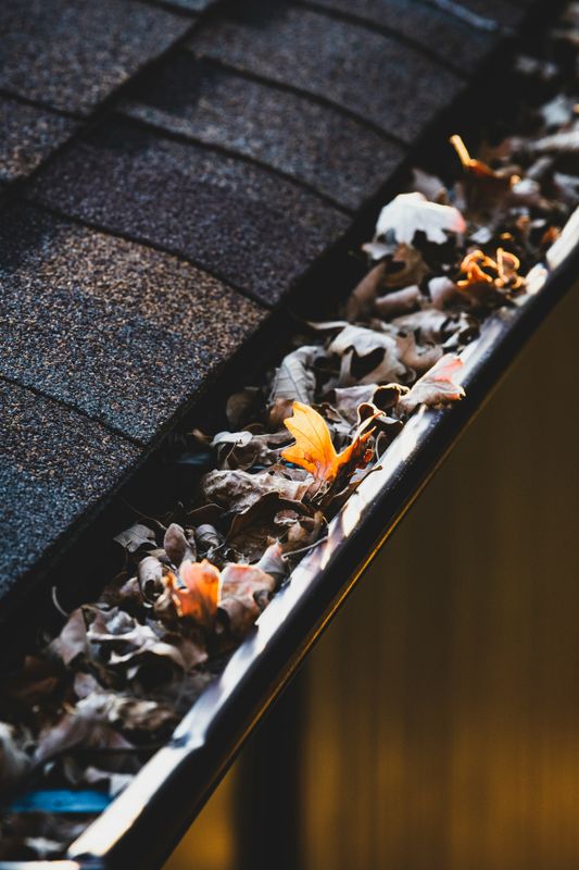 Roof and Gutter Cleaning