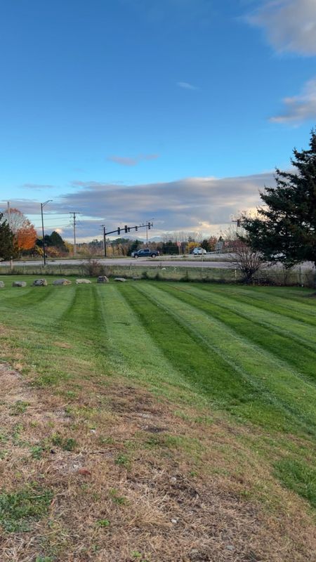 Landscaping
